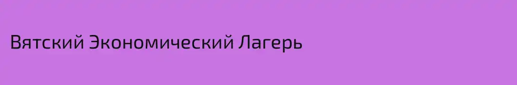 Вятский Экономический Лагерь